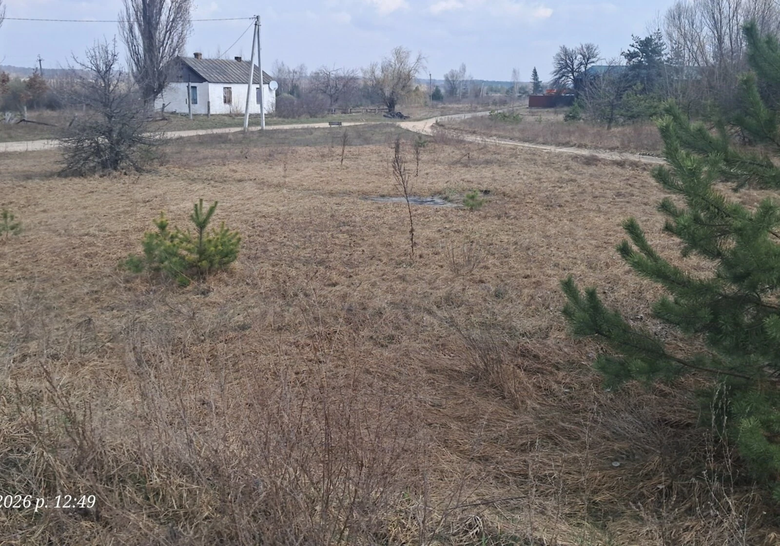Ділянка 25 соток, Ярошівка: світло й газ на ділянці, ліс - фото 2