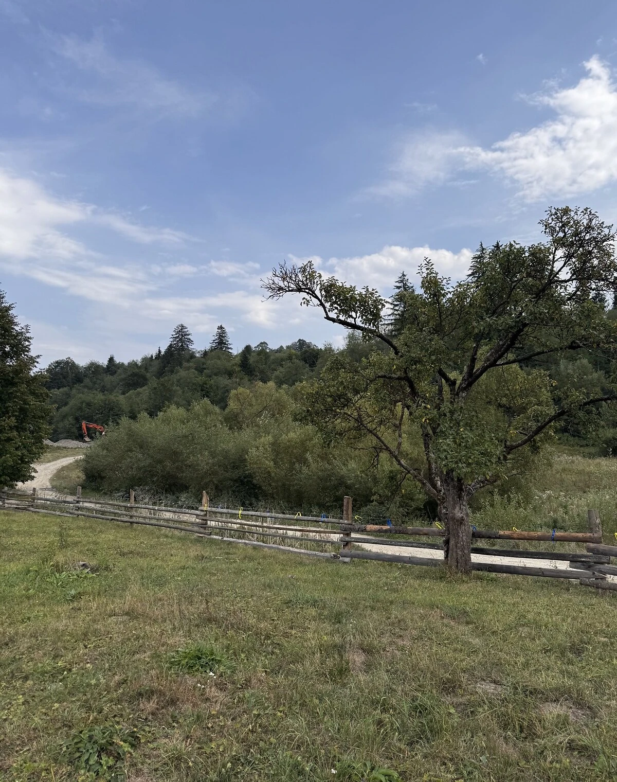 Ділянка 54 сотки, Красник: город і сад, електрика - фото 2