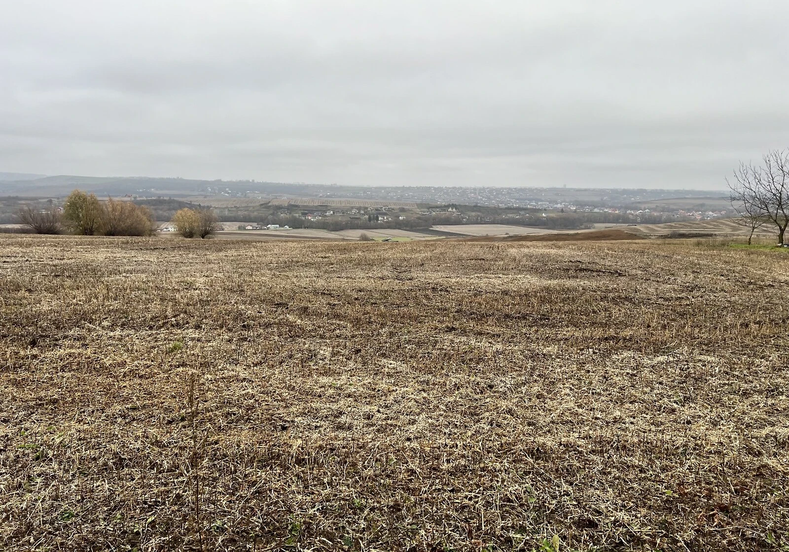 Ділянка 55.02 соток, Великий Кучурів: під забудову, криниця - фото 1