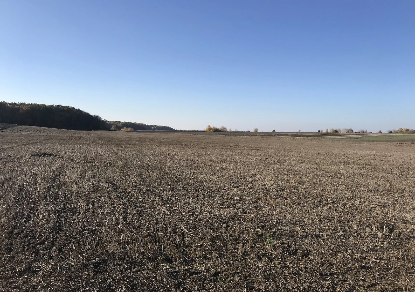 Ділянка 20 соток, Ярославичі: під житлову забудову, чорнозем, фото 5