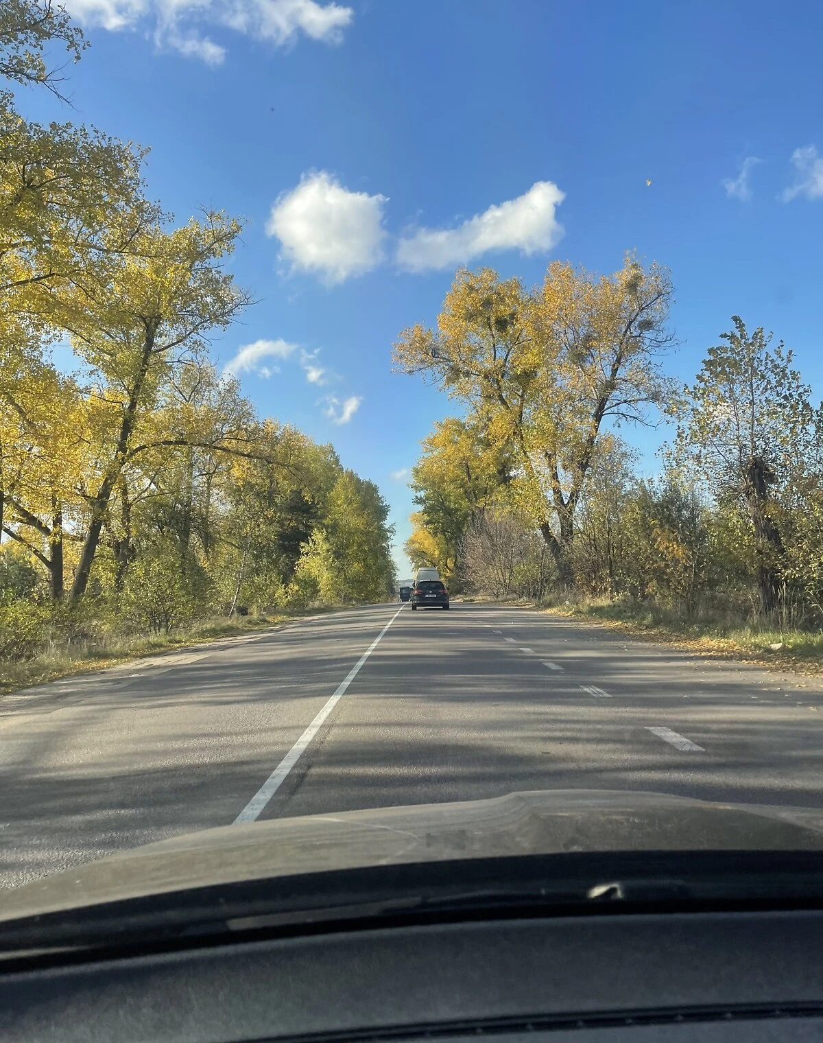 Участок 360 соток, Бобрица: равнинный рельеф, торг - фото 1