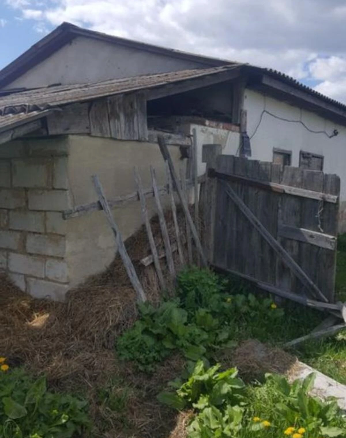 Дача, Вигода: гараж із підвалом, ділянка 30 соток, фото 5