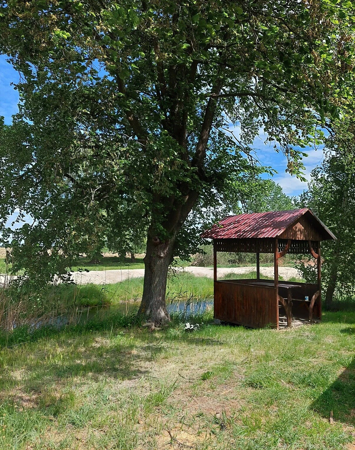 Ділянка 15 соток, Будище: під житлову забудову, штучне озеро - фото 2