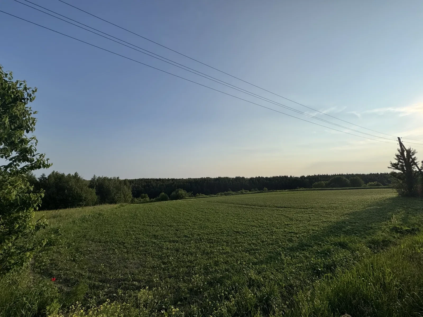 Участки 150 соток, Старый Тараж: под застройку, у леса, фото 2