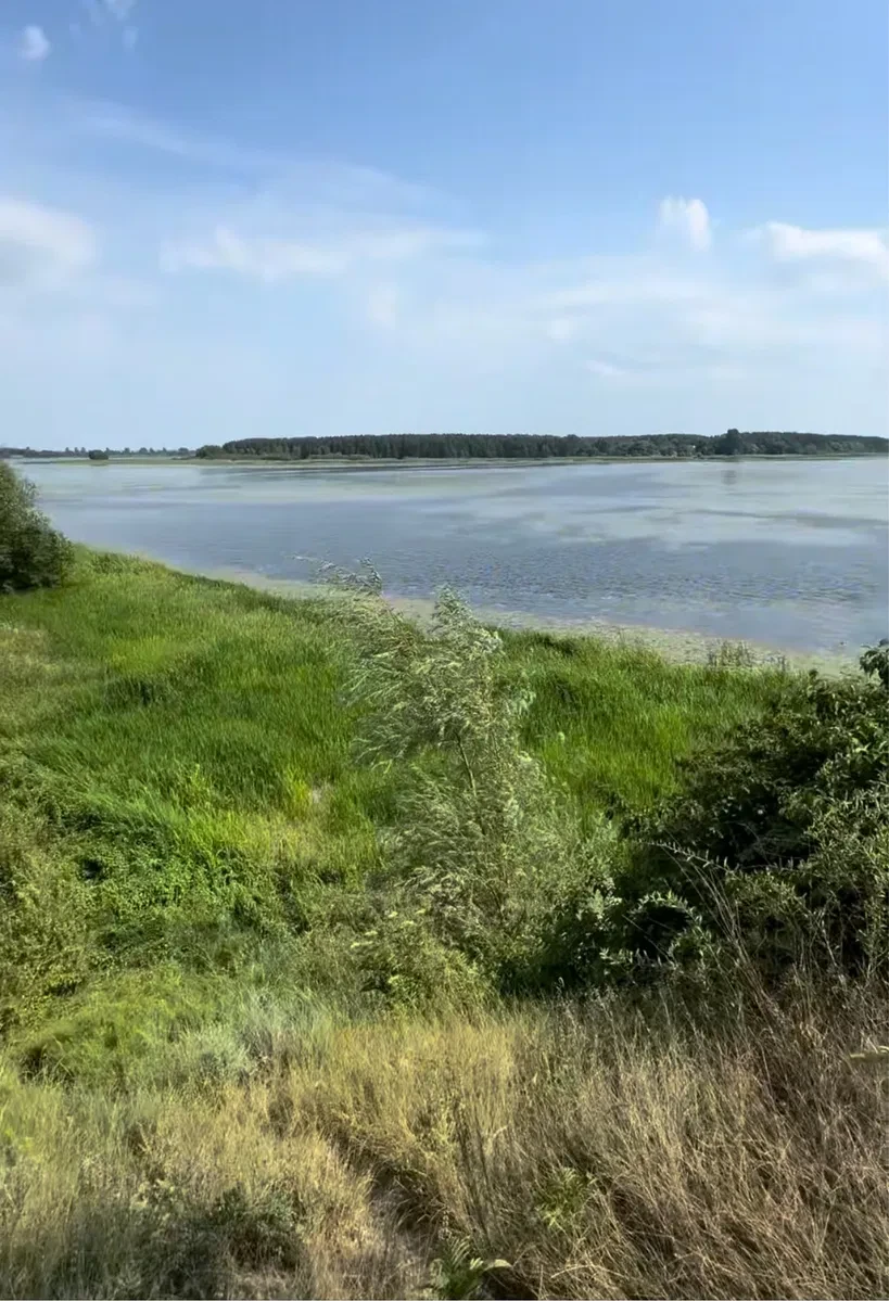 Ділянка 39 соток, Боремель: прямий вихід до водосховища Хрінників, фото 3