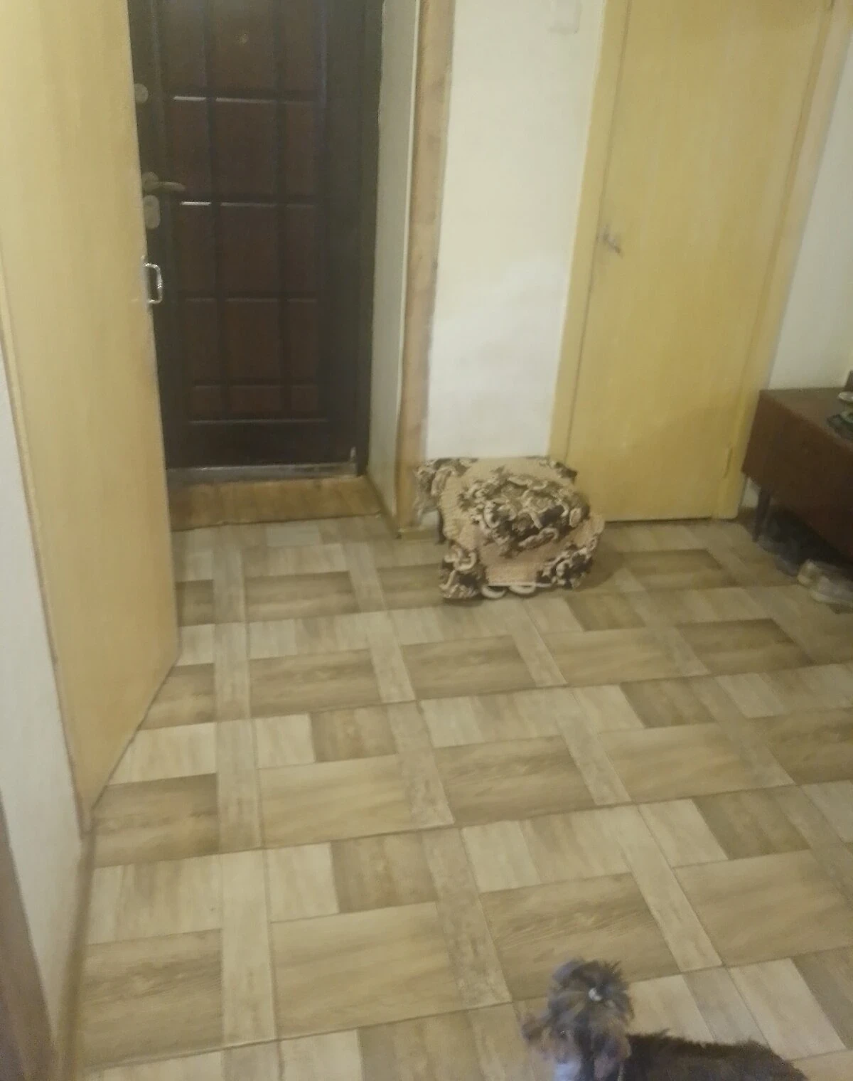 3-кімнатна квартира, Ужгород: єВідновлення, газове опалення, без ремонту - фото 5