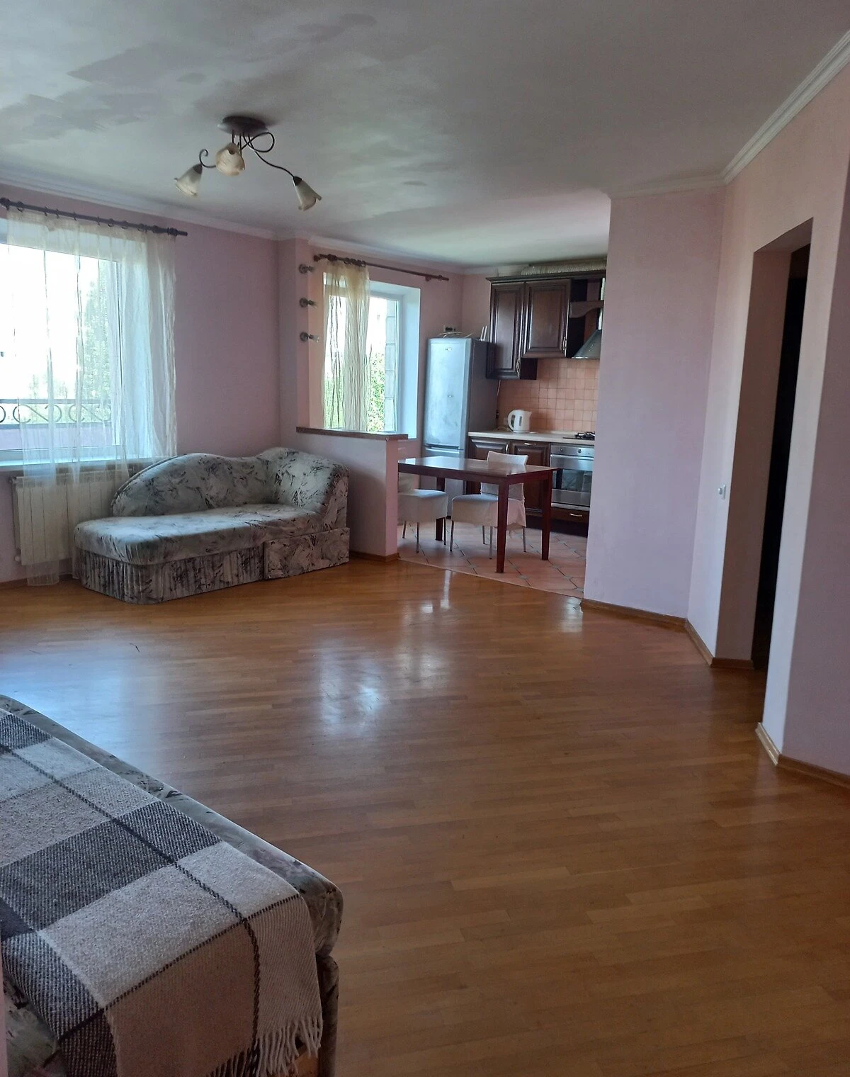3-комнатная квартира, Татарка: кухня-студия, отопление без света, фото 2