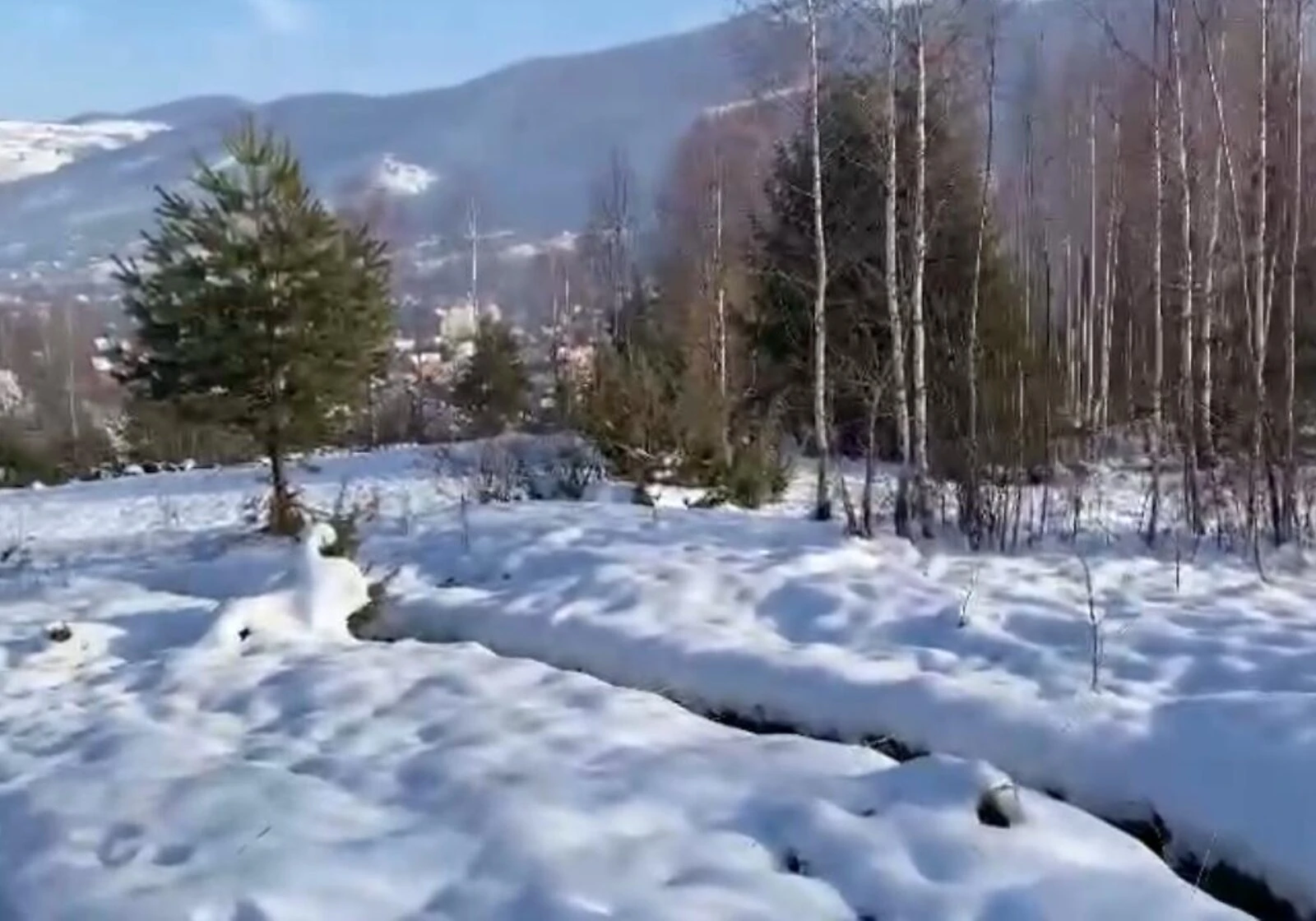 Ділянка 8 соток, Яремче: під житлову забудову, біля гір, фото 2