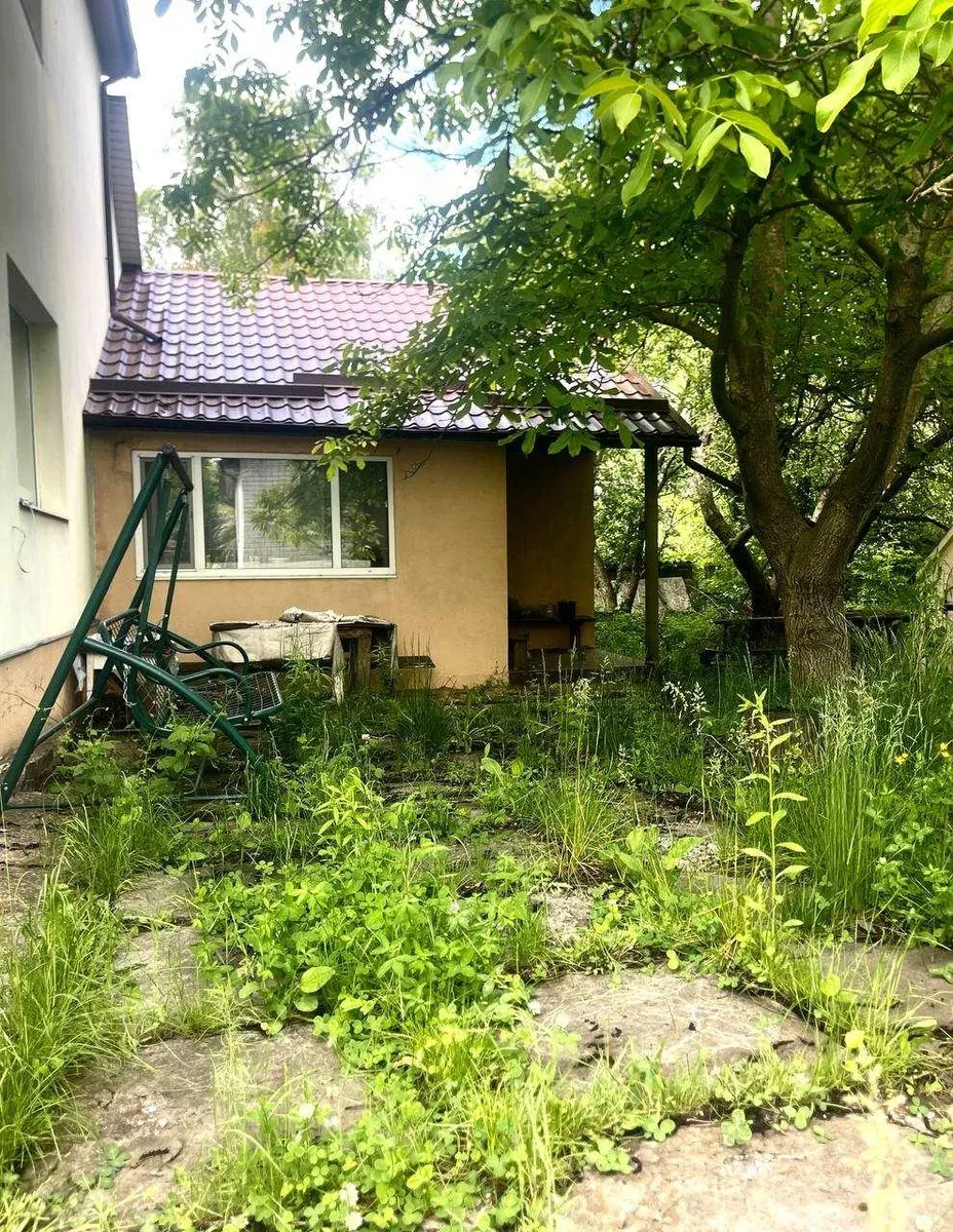 Будинок, Черкаська Лозова: робочий камін, лазня, вид на березовий гай, фото 5