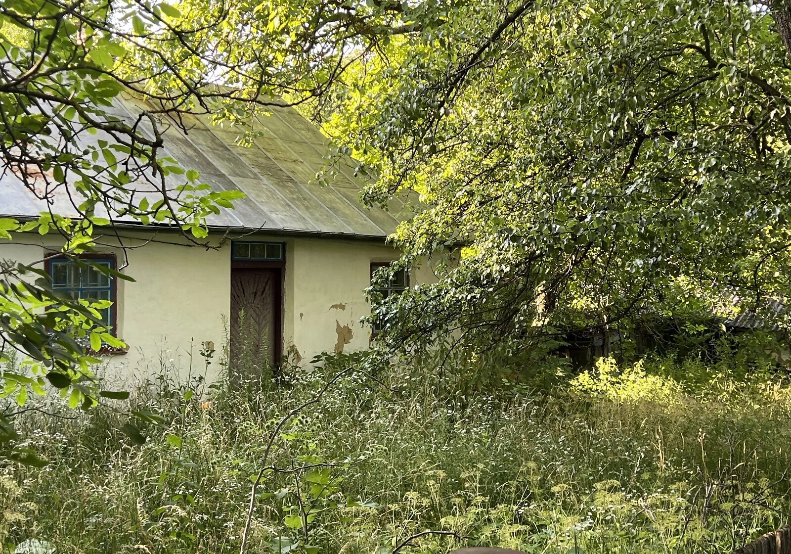 Ділянка 25 соток, Пархомівці: під житлову забудову, фото 5