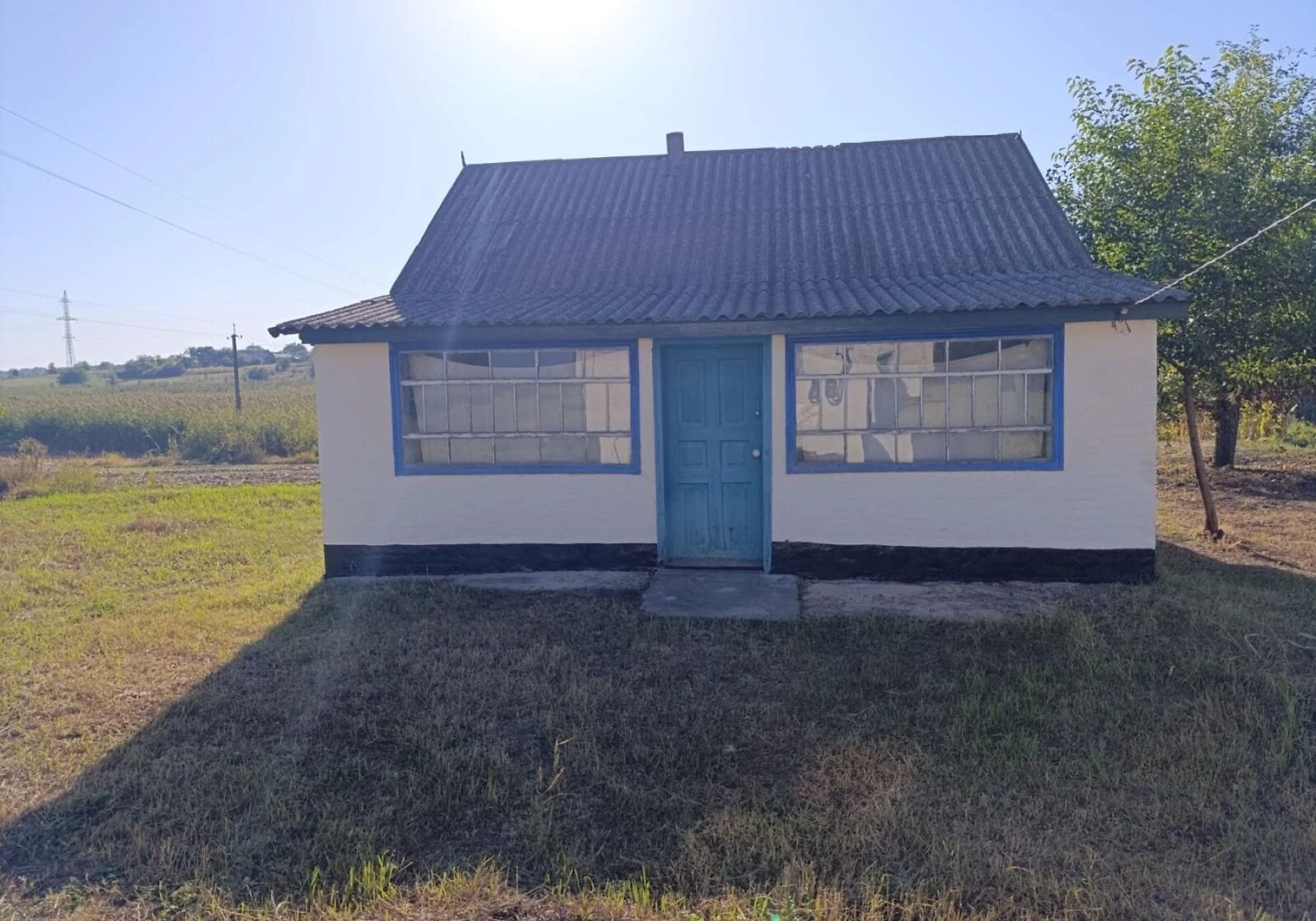 Будинок, Кобелячок: літня кухня, сад, цегляні стіни - фото 4