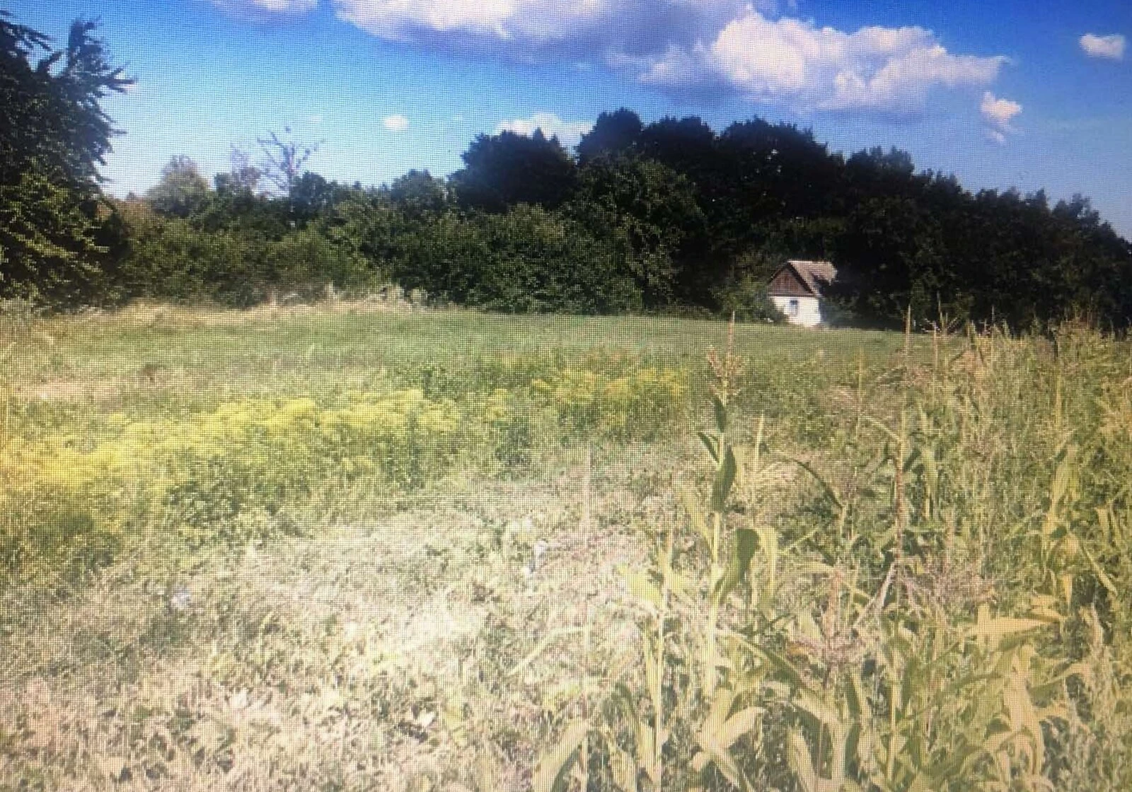 Будинок, Кам'яний Брід: цегляні стіни, торг можливий - фото 2
