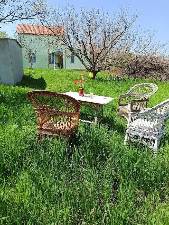 Будинок, Палиевка: тераса з видом на лиман, перша лінія