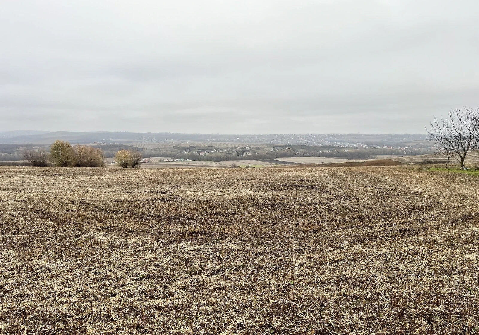 Ділянка 55.02 соток, Великий Кучурів: під забудову, криниця - фото 2