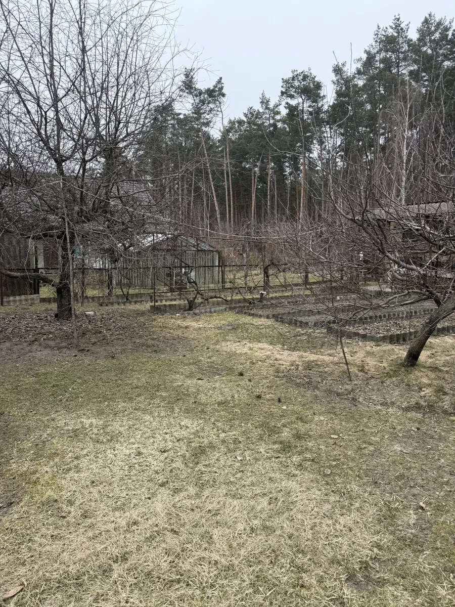 Дача, Ясногородка: крайня ділянка біля лісу й озера, піч і камін, фото 2