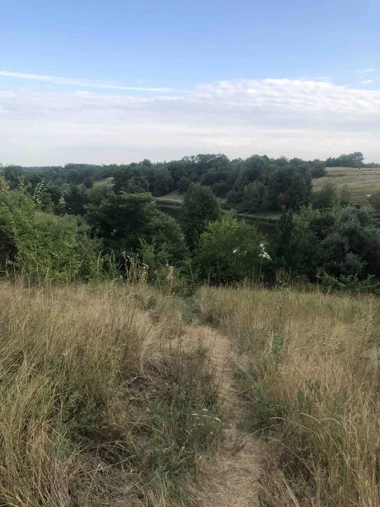 Ділянка 24 соток, Стрітівка: під забудову, озеро за 300 м - фото 3