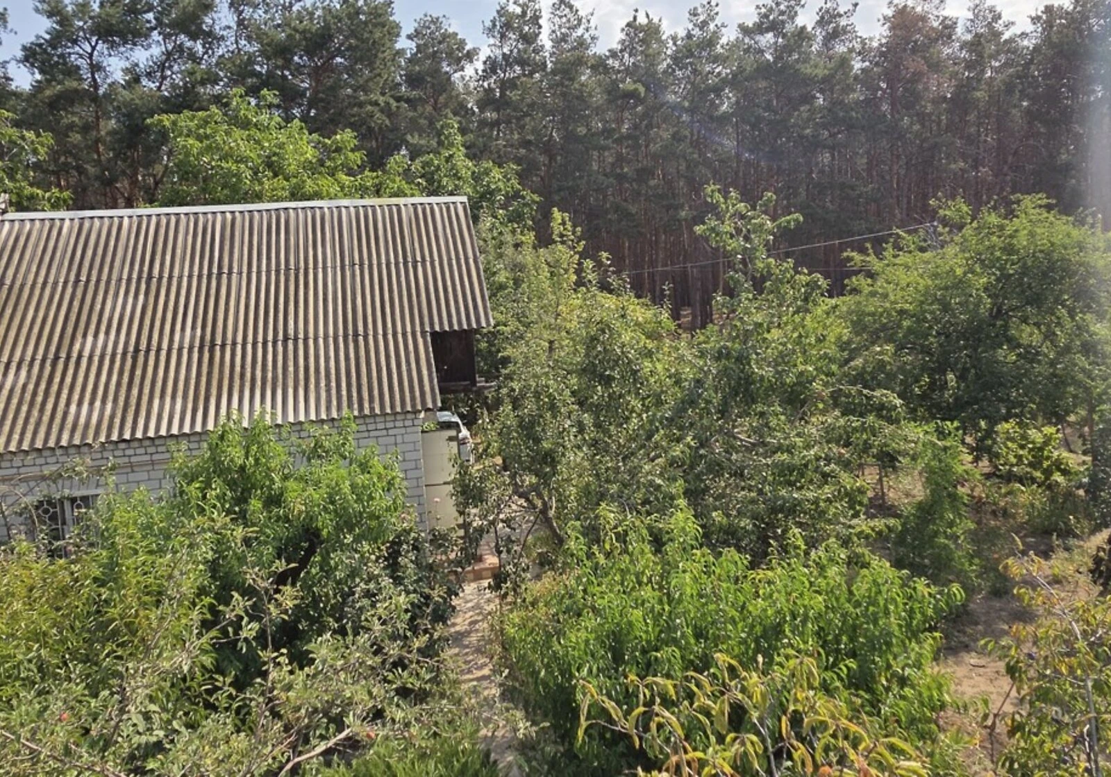 Дача, Баловне: веранда, ділянка 603 м² - фото 3