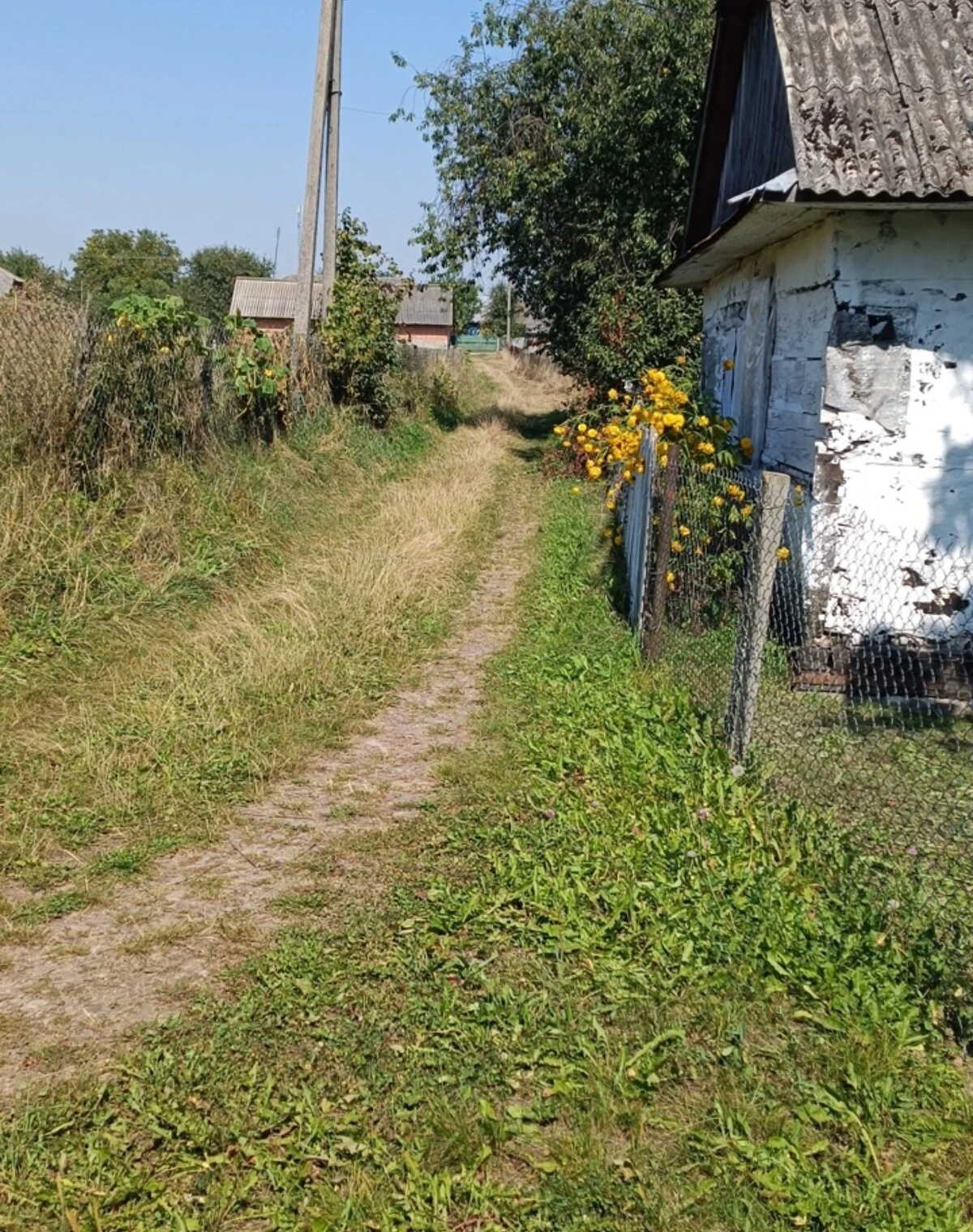Дача, Синьков: 17 соток, колодец, погреб - фото 2