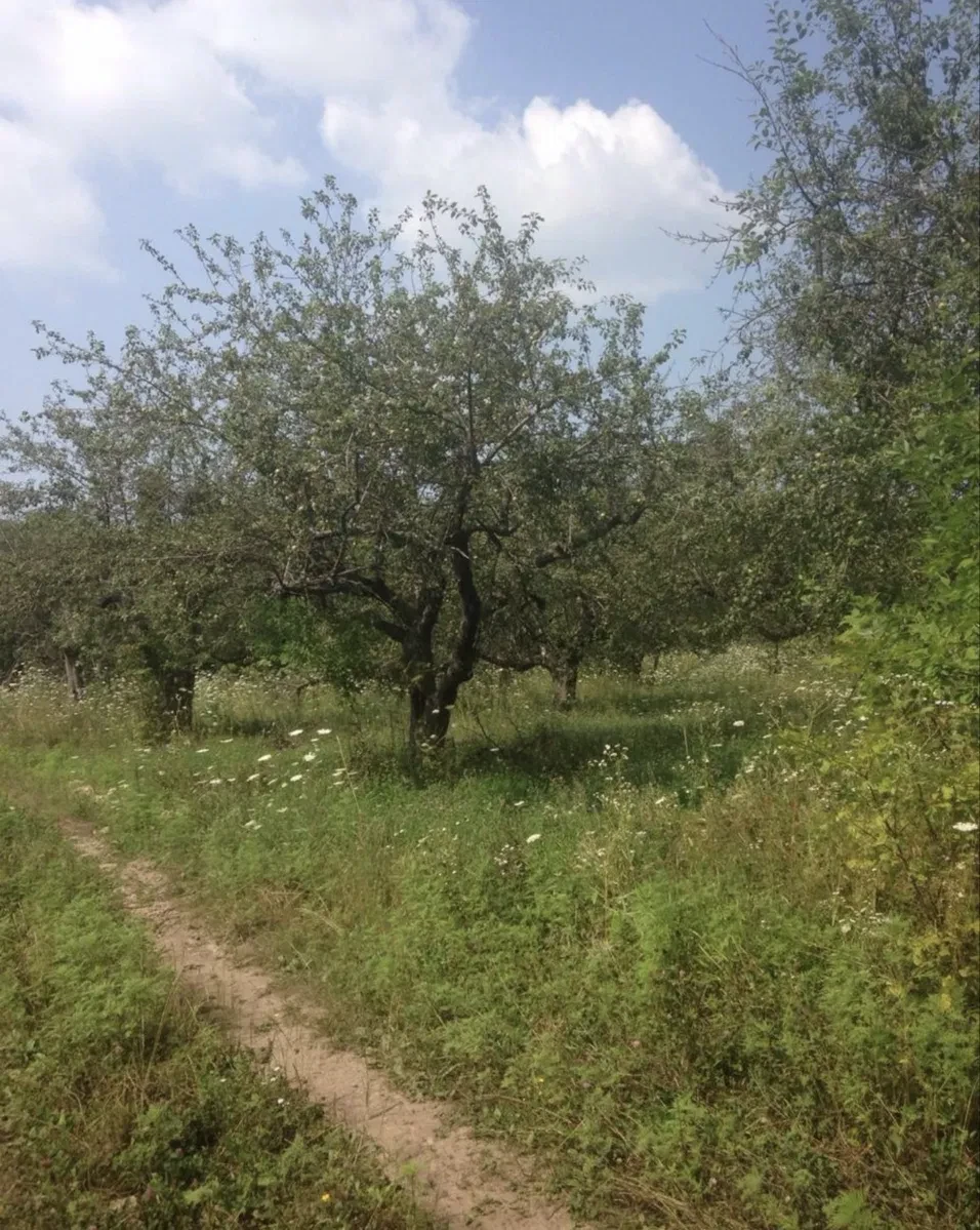 Ділянка 8 400 соток, Покотилівка: під котеджне містечко, торг - фото 2