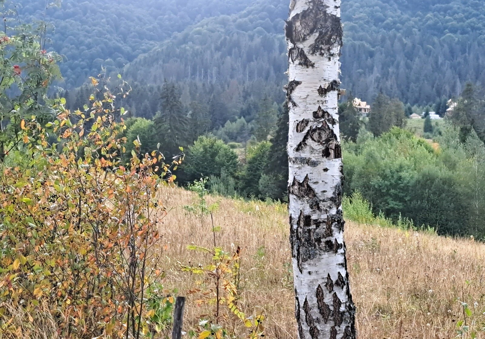 Ділянка 12 соток, Річка: біля гір, торг можливий, фото 5