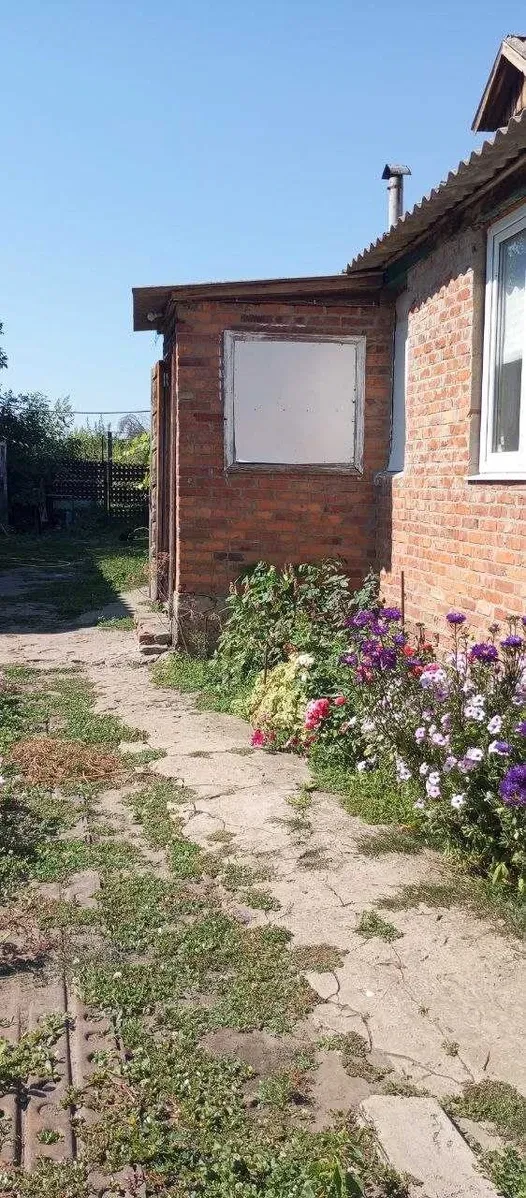 Будинок, Малинівка: 31 соток, газ і свердловина, фото 4