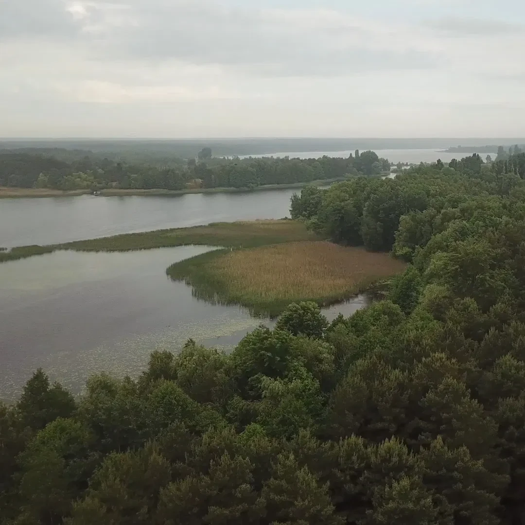 Ділянка 170 соток, Толокунь: вихід до Київського моря, оренда на 49 років - фото 3
