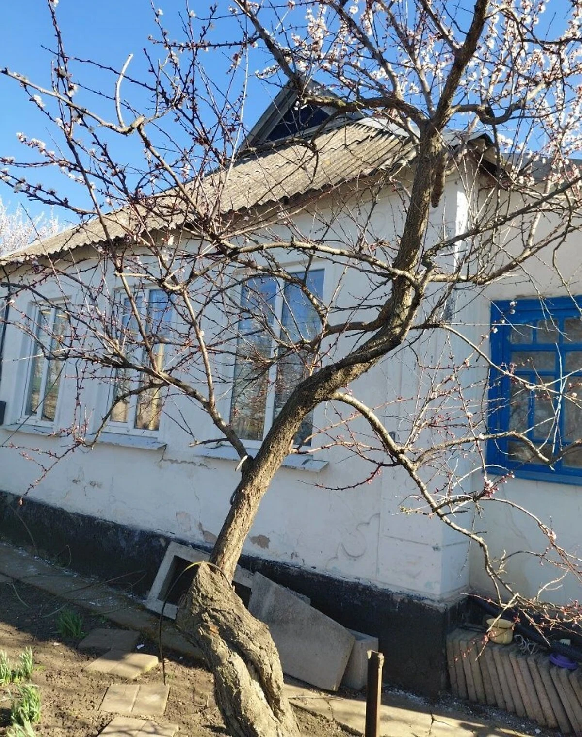 Будинок, Новомалинівка: єВідновлення, єОселя - фото 2