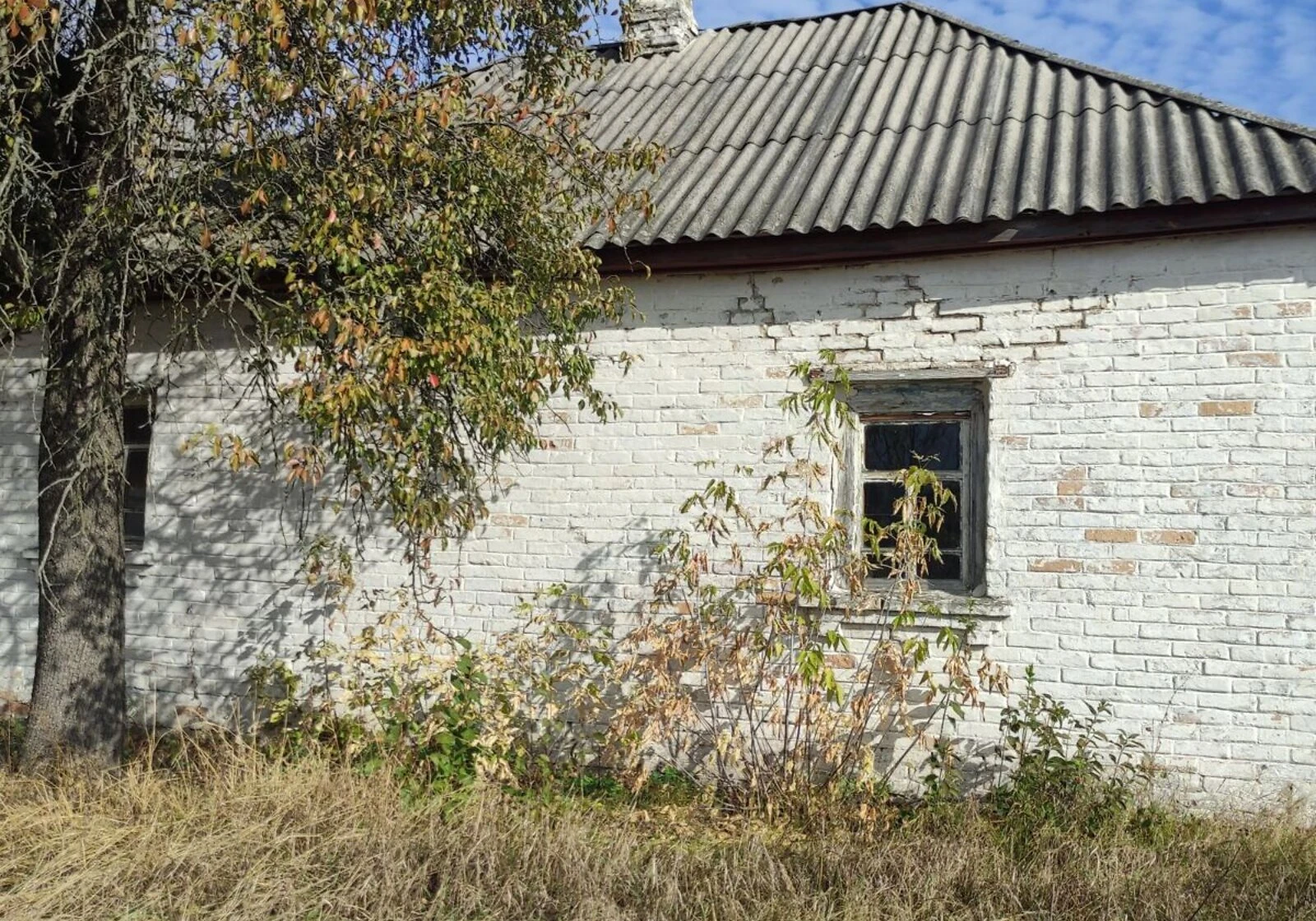 Будинок, Жукин: цегляні стіни, літня кухня - фото 3