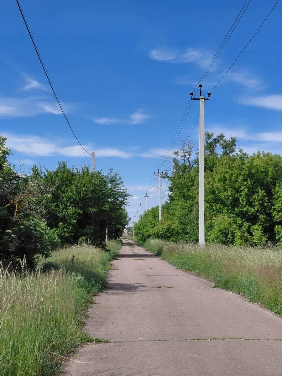 Ділянка 11,8 соток, Затишне: електрика поруч, 25 км від Києва - фото 4