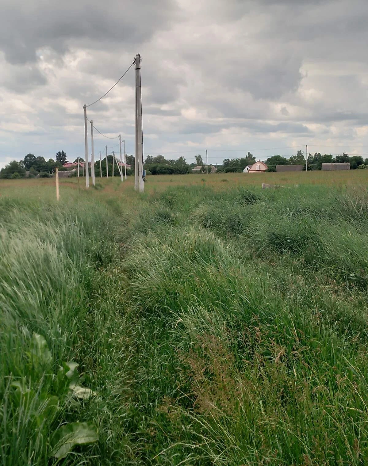 Ділянка 5.87 соток, Луб'янка (Бородянка): під житлову забудову, електрика - фото 1