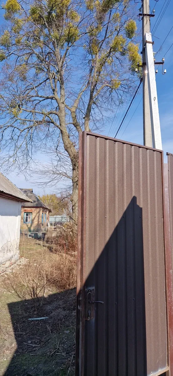 Ділянка 34 соток, Жукин: дві поряд, будинок і електрика - фото 4