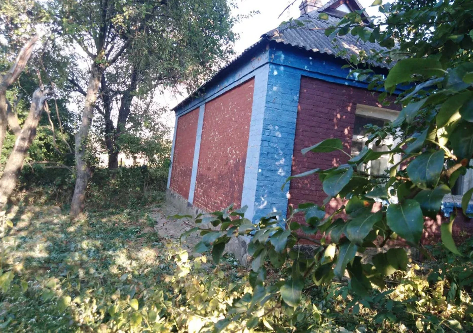 Будинок, Київський: город і сад, свердловина - фото 3