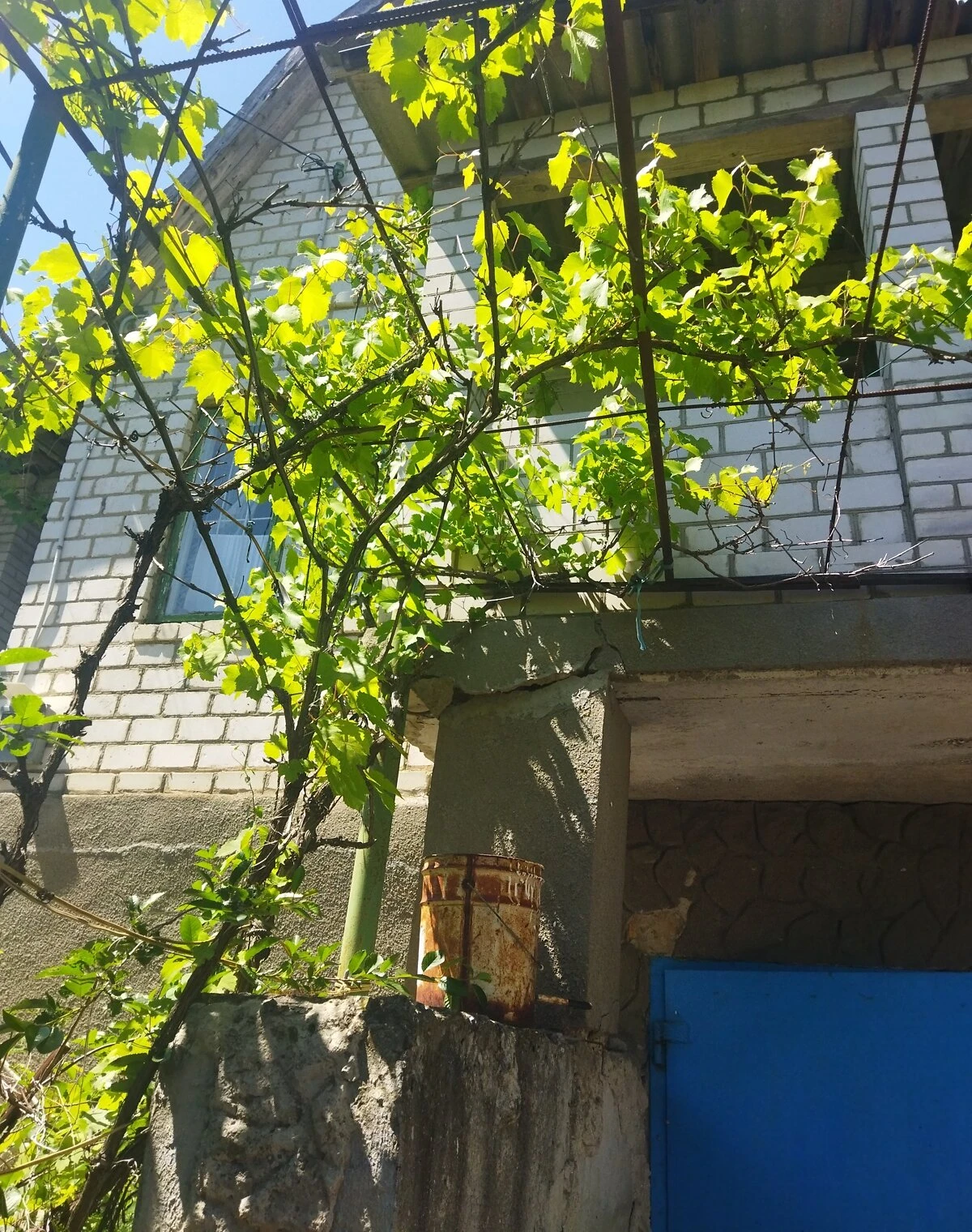 Дача, Бурдівка: камін, сад і господарські будівлі, фото 4