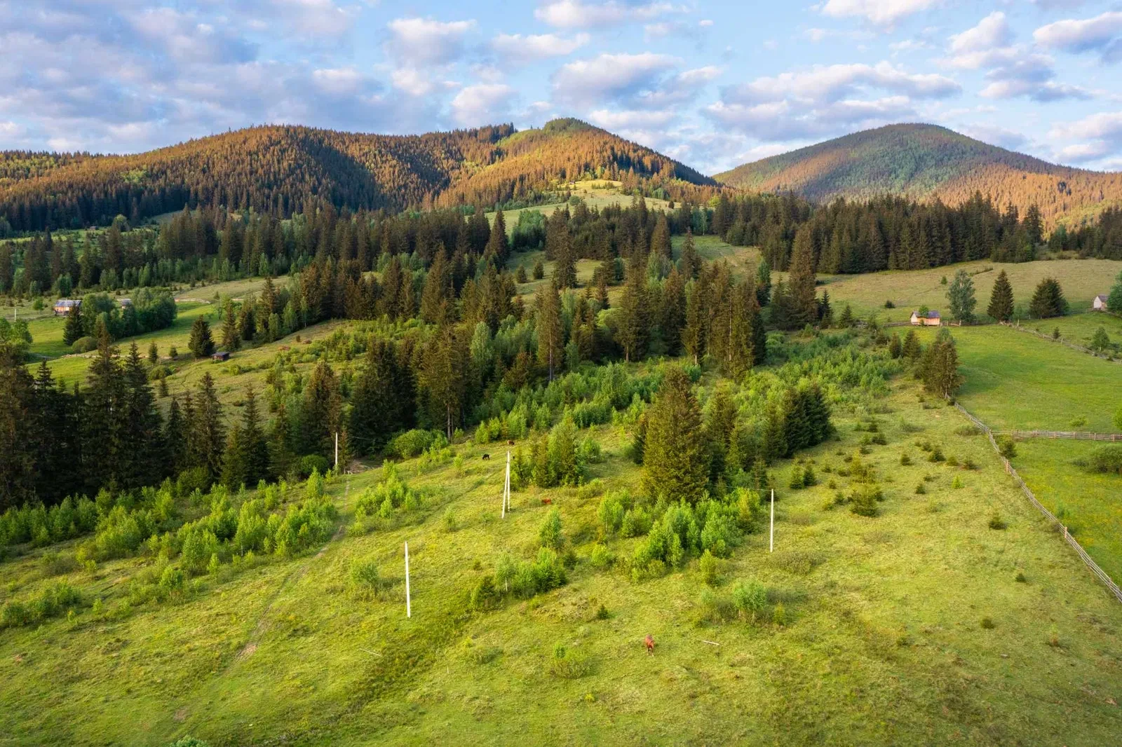 Ділянка 69 соток, Стаїще: під будівництво, джерело води