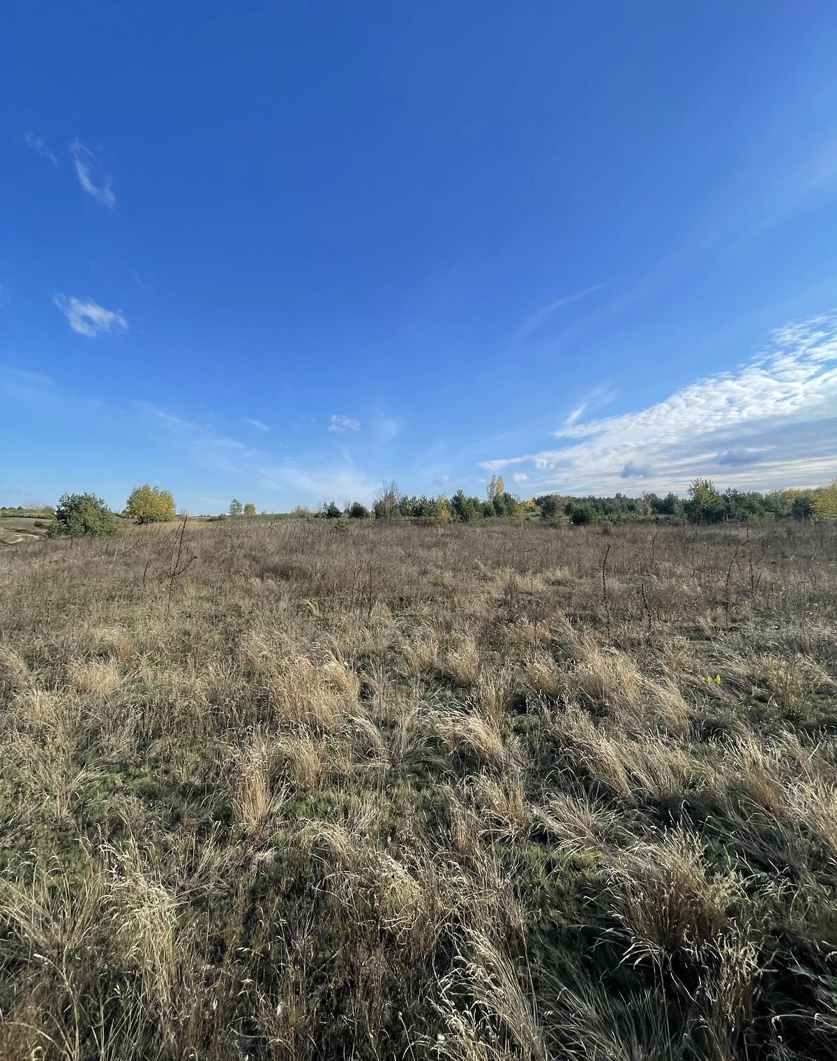 Участок 360 соток, Бобрица: равнинный рельеф, торг - фото 2
