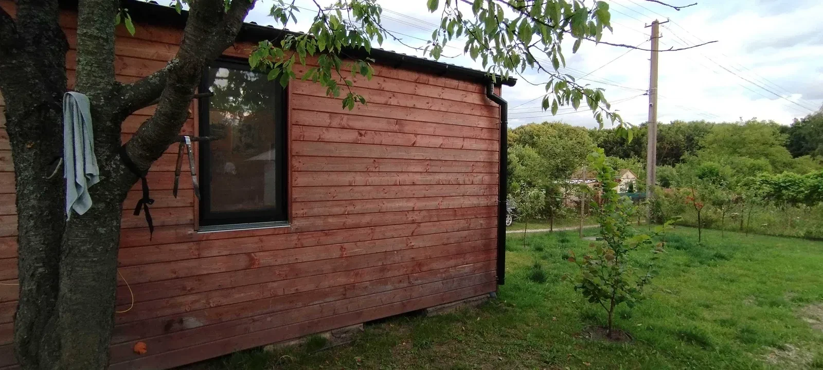 Дача, Деревач: ліс за 200-400 м, свердловина, септик 10 куб. м - фото 5