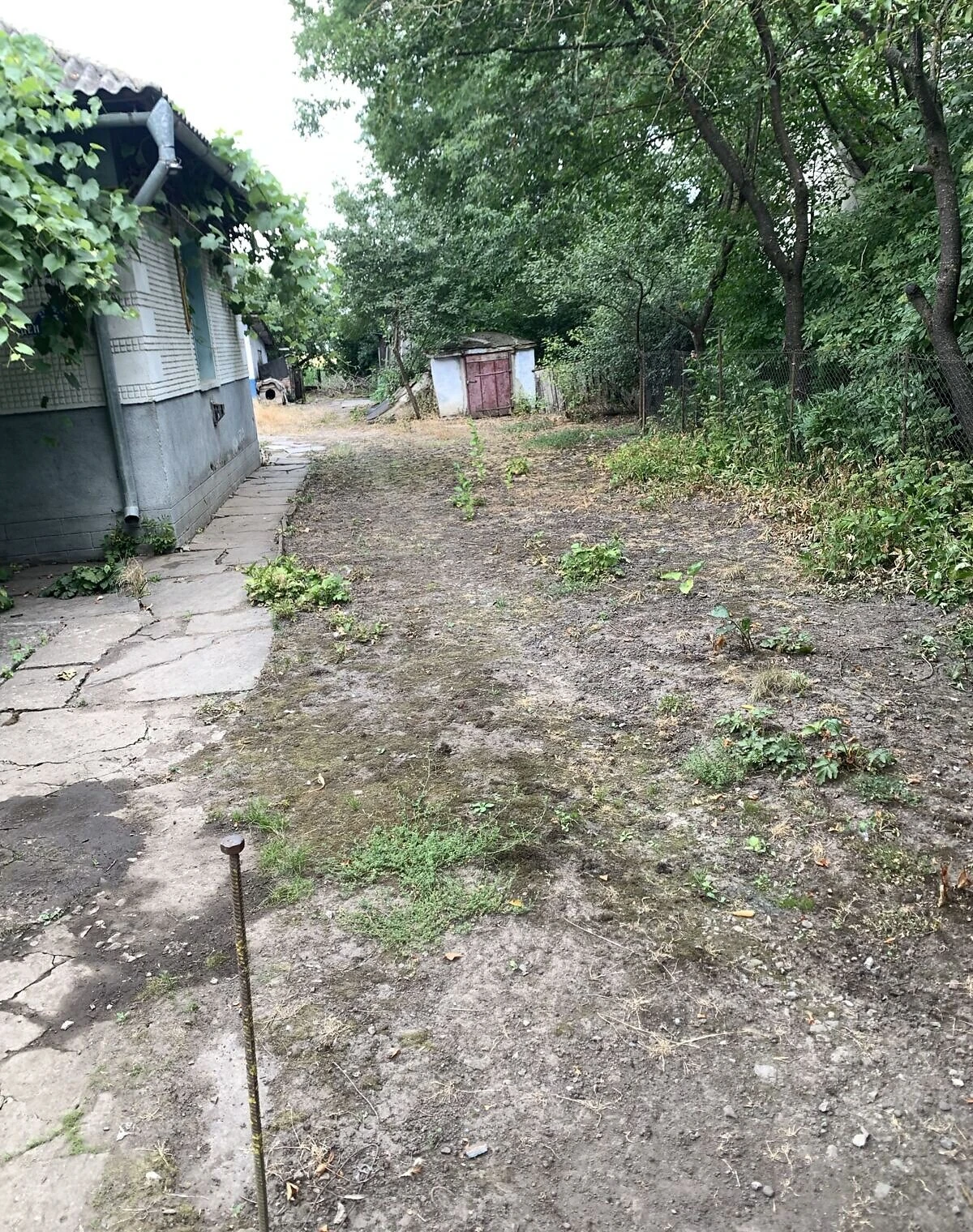 Дача, Ласківці: сад, цегляні стіни - фото 2