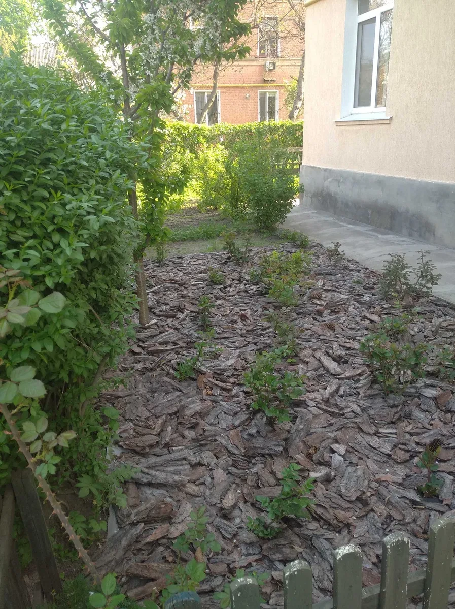 3-кімнатна квартира, Олександрія: єОселя, 500 м до Покровського ринку, фото 5