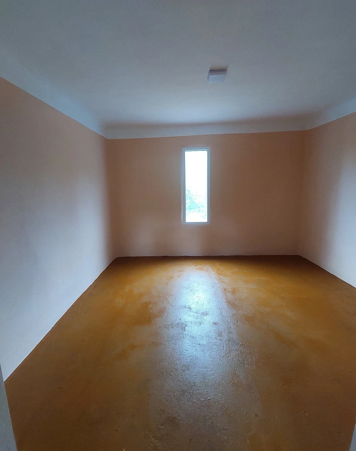 Будинок, Таромське: цегляні стіни, ділянка 752 м² - фото 4