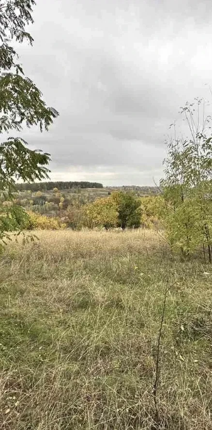 Ділянка 51 соток, Козіївка: будинок, електрика, озеро