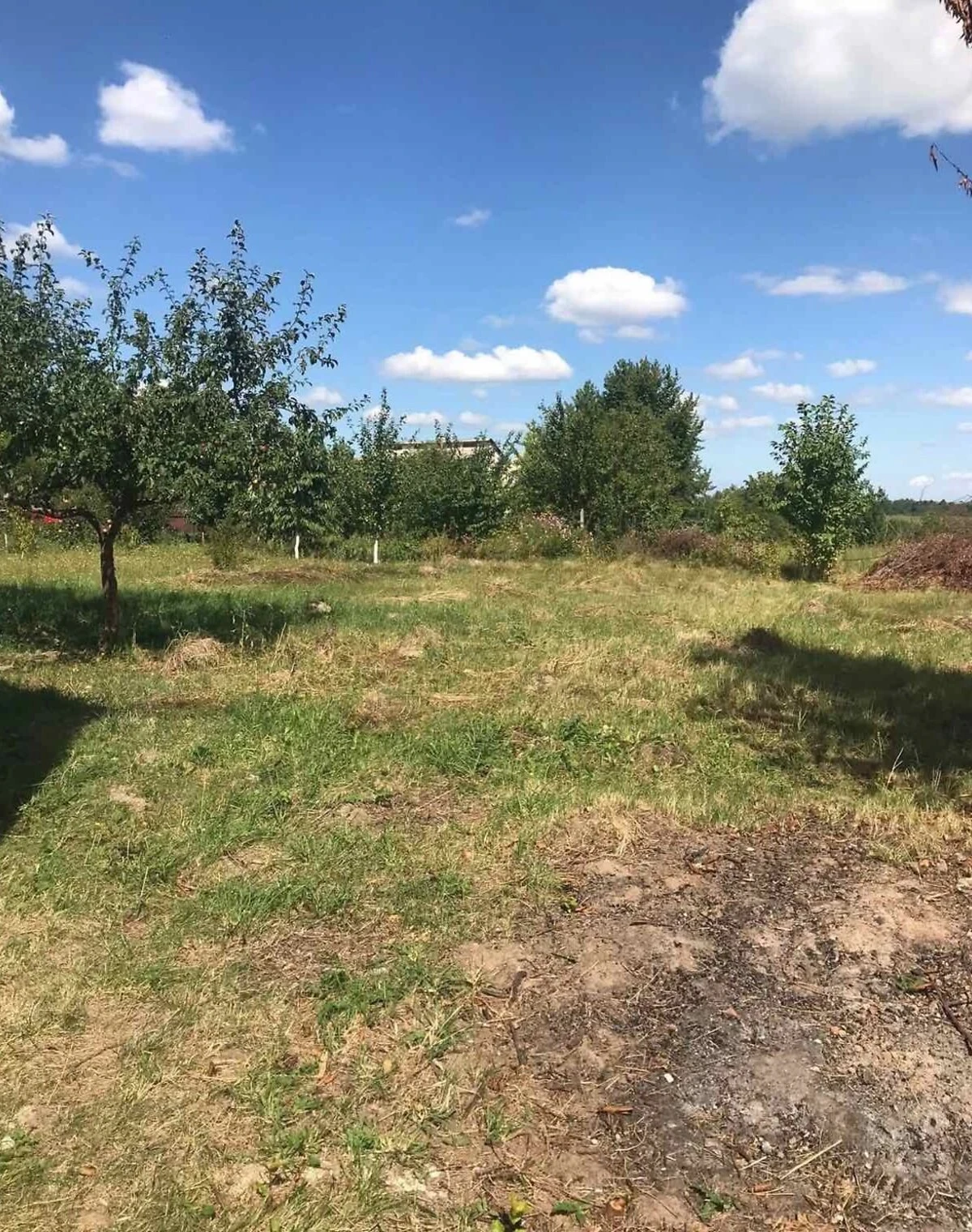 Будинок, Жмеринка: ділянка 240 соток, не використовувався після побудови, фото 4