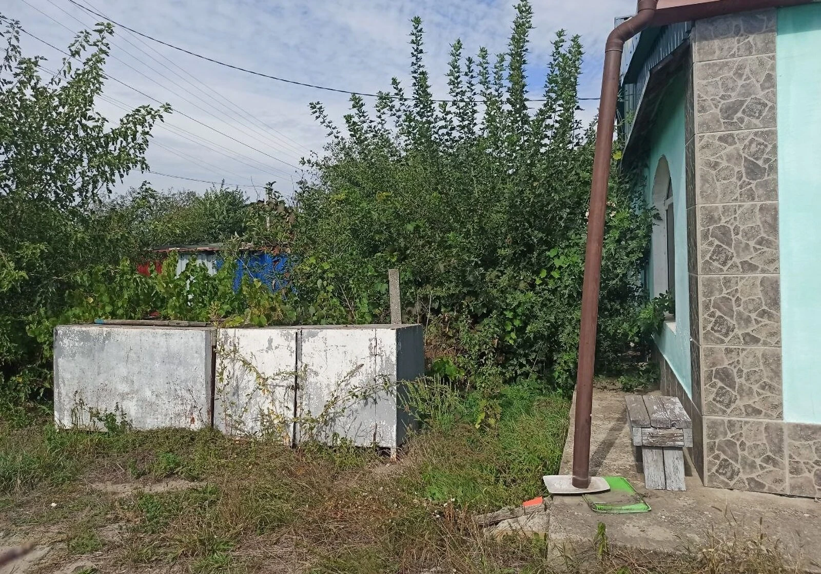 Будинок, Новопетрівка (Велика Михайлівка): 36 соток, торг, фото 2