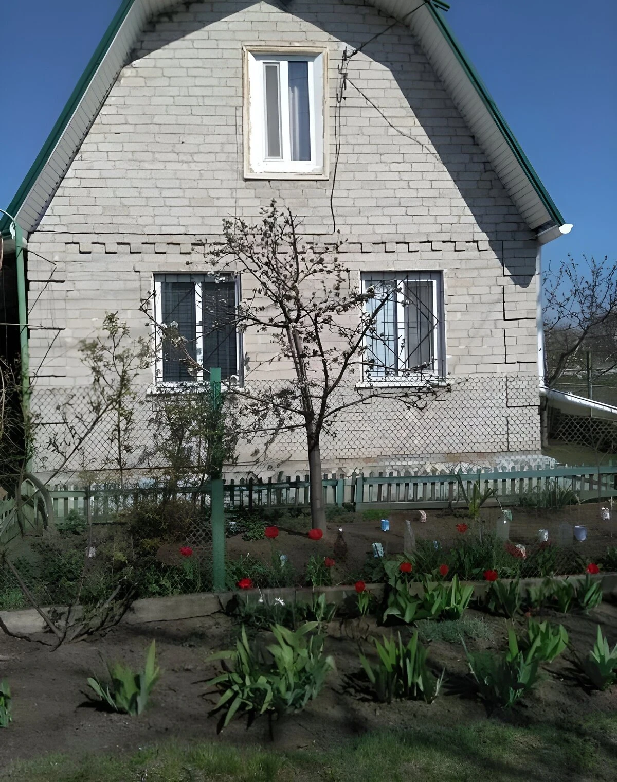 Дача, Юльевка: 6 соток, сад и летняя кухня, фото 2
