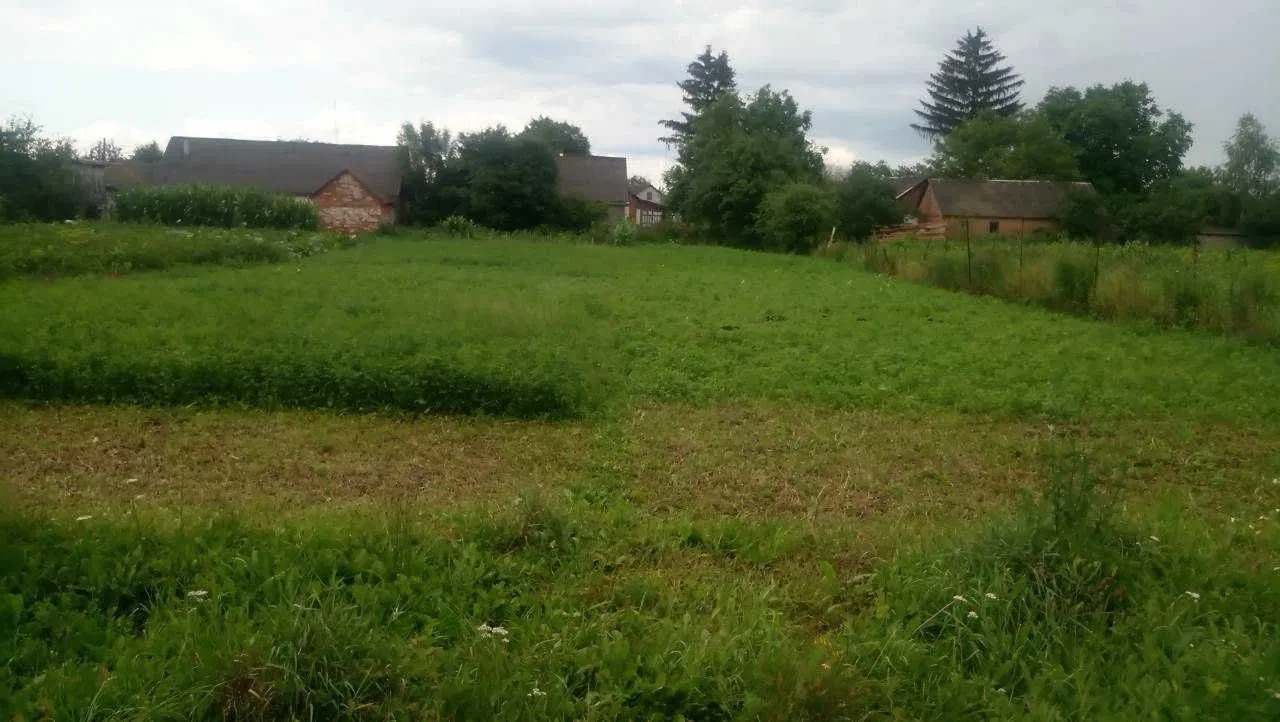 Ділянка 0,17 соток, Романів: будинок 68 м², під забудову, фото 4
