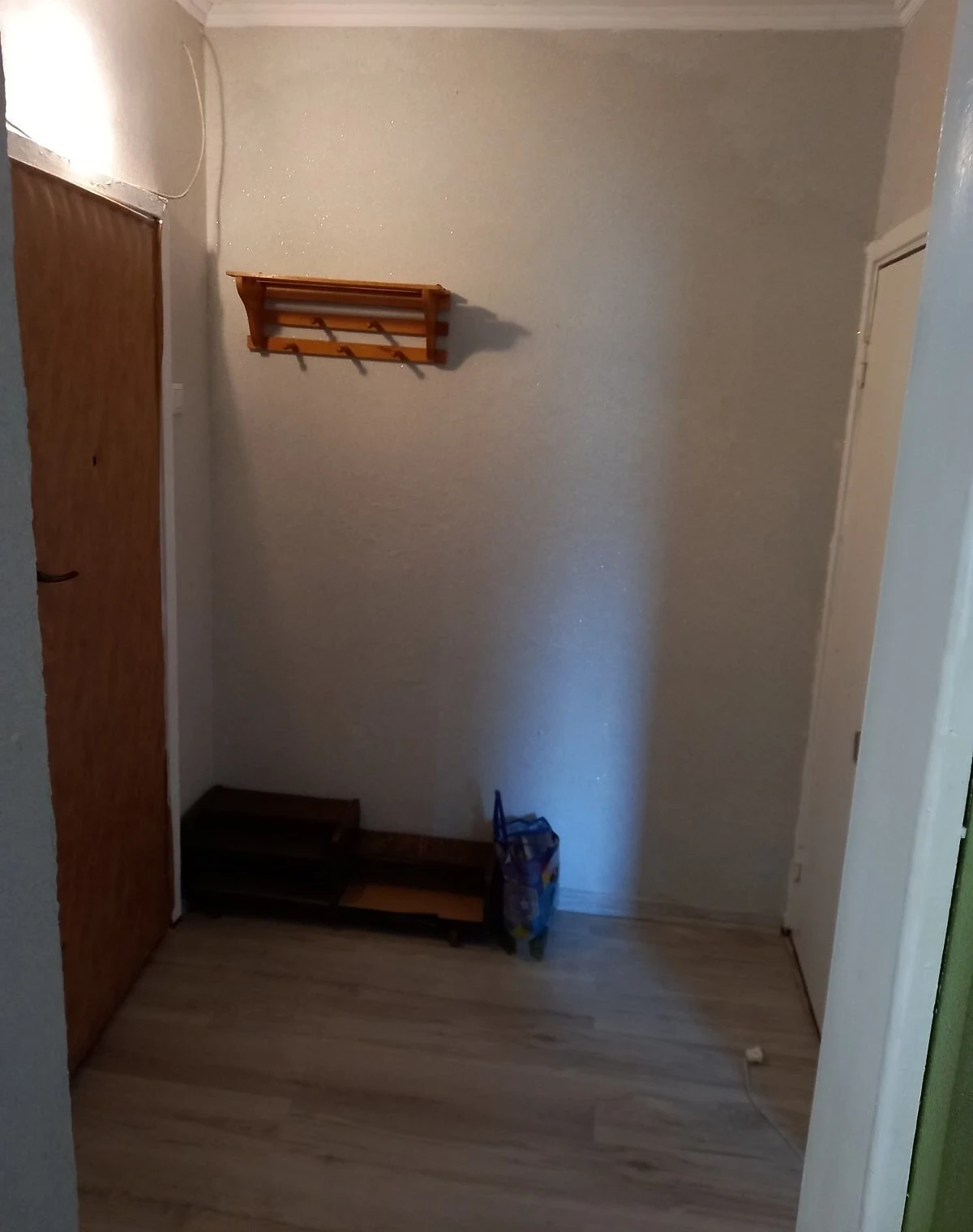 1-кімнатна квартира, Виноградар: укриття в будинку, опалення без світла - фото 1