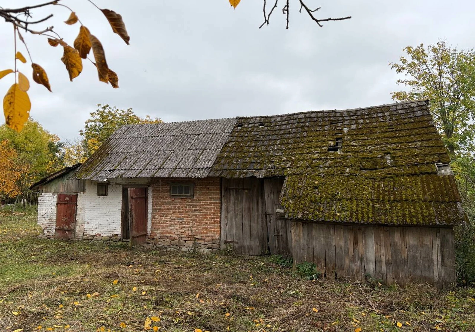 Будинок, Лугове: криниця, город і сад, можливий торг, фото 5