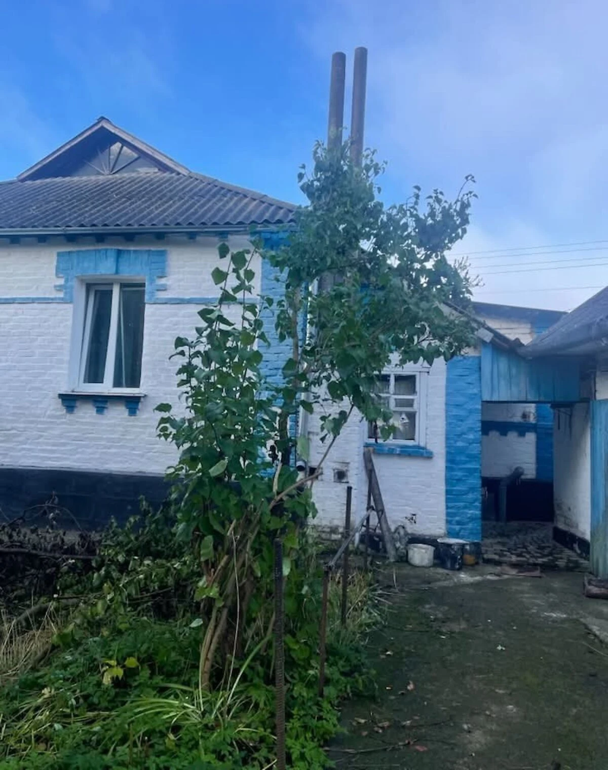Будинок, Погребище: гараж із підвалом, криниця - фото 3