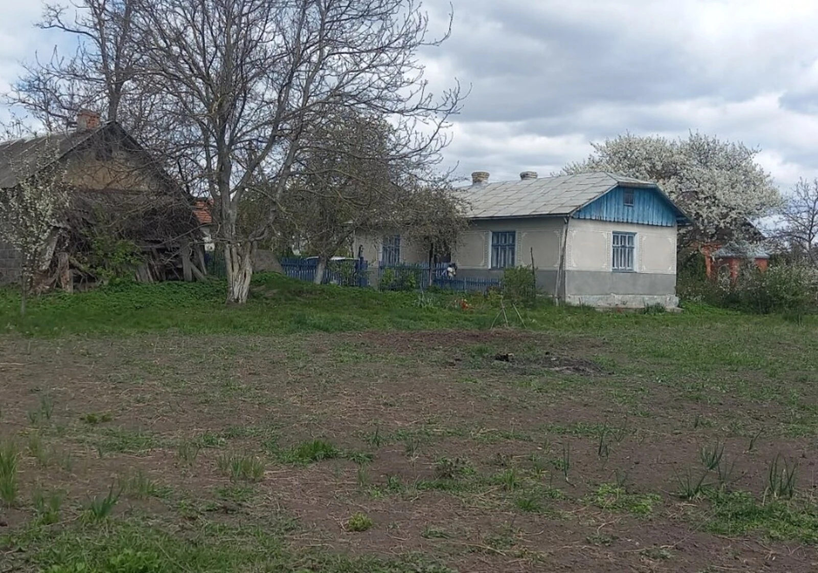 Дача, Денисов: колодец, сад, участок 2500 м² - фото 1
