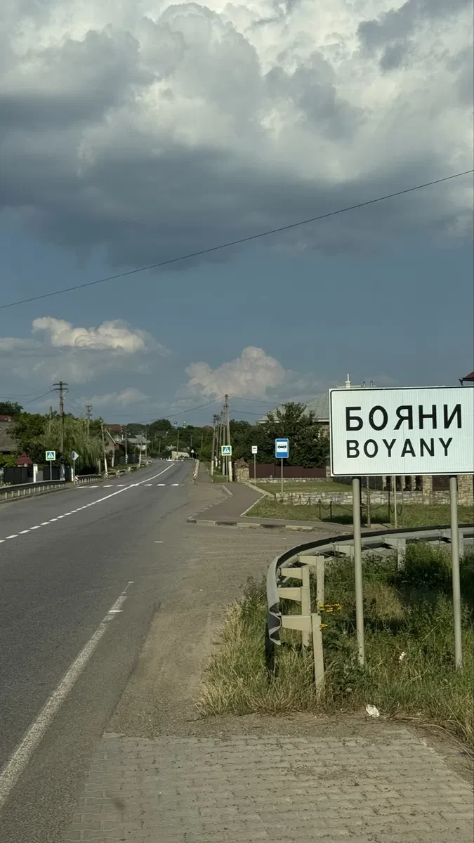 Будинок, Бояни: 50 соток, газова труба, центральна дорога