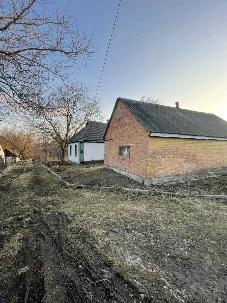 Будинок, Вищий Булатець: 35 соток, робоча груба, фото 5